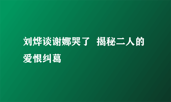 刘烨谈谢娜哭了  揭秘二人的爱恨纠葛