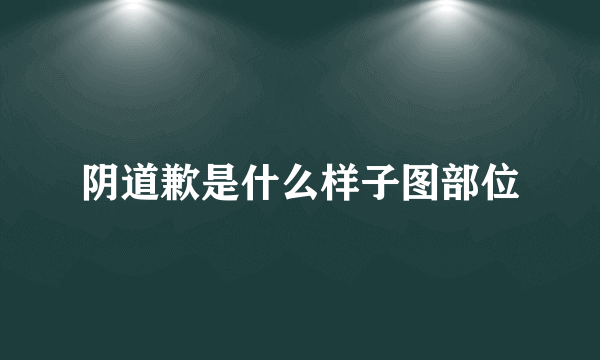 阴道歉是什么样子图部位