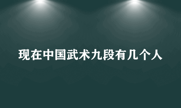 现在中国武术九段有几个人