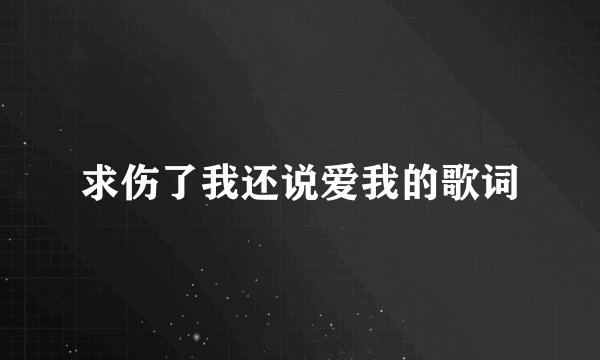 求伤了我还说爱我的歌词