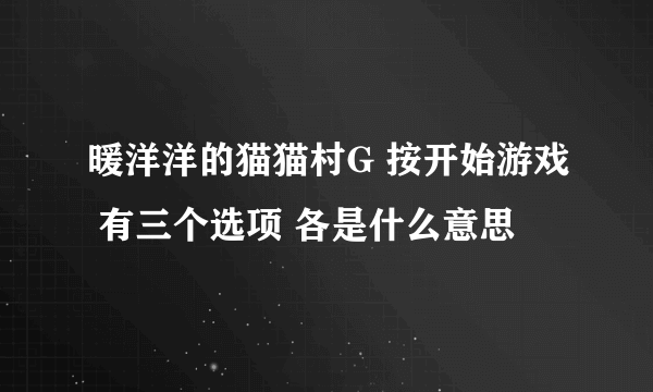 暖洋洋的猫猫村G 按开始游戏 有三个选项 各是什么意思