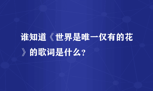 谁知道《世界是唯一仅有的花》的歌词是什么？