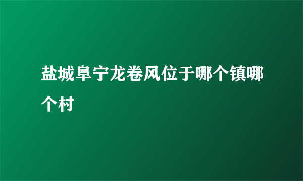 盐城阜宁龙卷风位于哪个镇哪个村