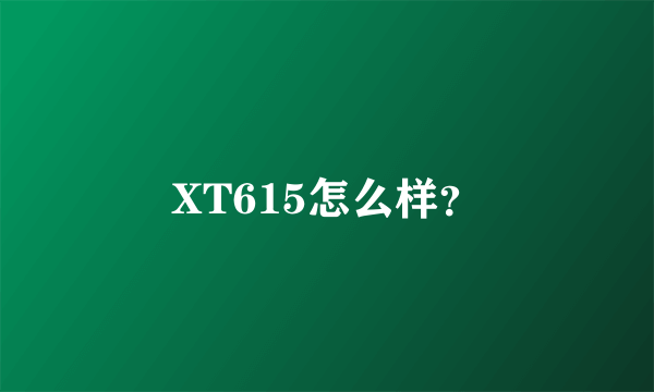 XT615怎么样？