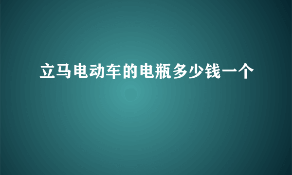 立马电动车的电瓶多少钱一个