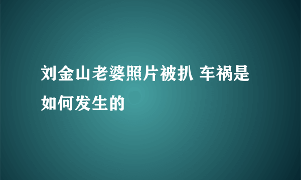 刘金山老婆照片被扒 车祸是如何发生的