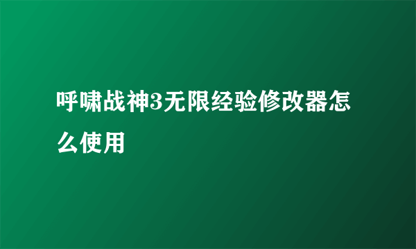 呼啸战神3无限经验修改器怎么使用