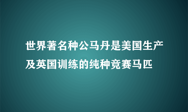 世界著名种公马丹是美国生产及英国训练的纯种竞赛马匹