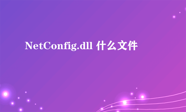 NetConfig.dll 什么文件