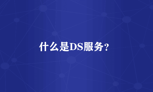 什么是DS服务？