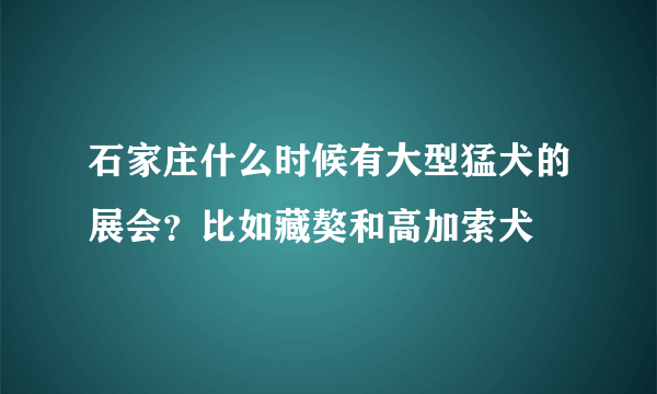 石家庄什么时候有大型猛犬的展会？比如藏獒和高加索犬