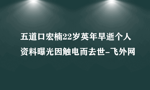 五道口宏楠22岁英年早逝个人资料曝光因触电而去世-飞外网