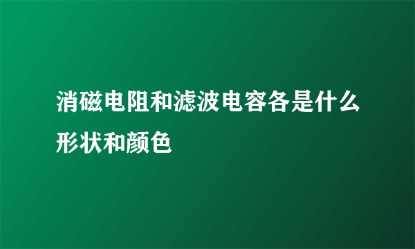 消磁电阻和滤波电容各是什么形状和颜色