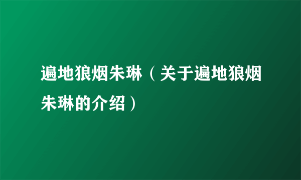 遍地狼烟朱琳（关于遍地狼烟朱琳的介绍）