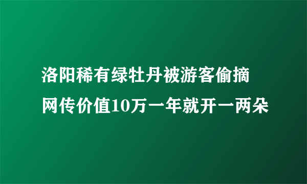 洛阳稀有绿牡丹被游客偷摘 网传价值10万一年就开一两朵