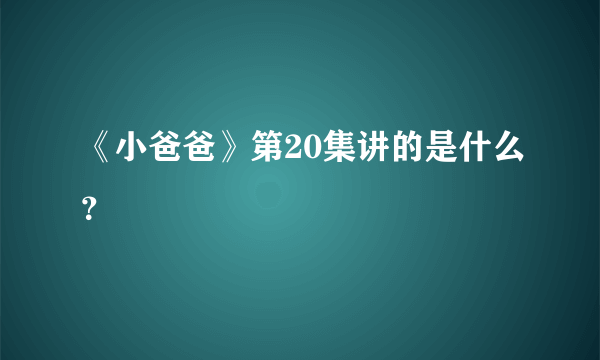 《小爸爸》第20集讲的是什么？