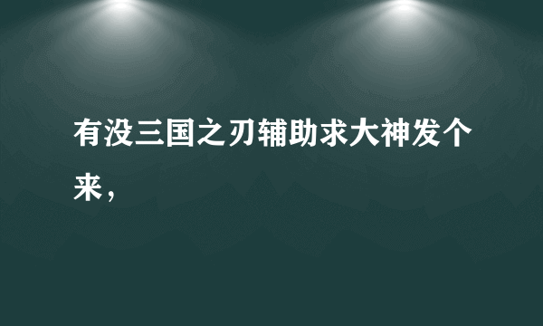 有没三国之刃辅助求大神发个来，