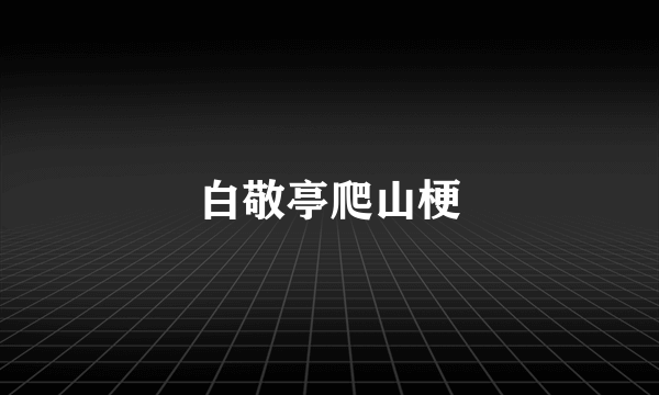 白敬亭爬山梗