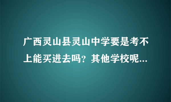 广西灵山县灵山中学要是考不上能买进去吗？其他学校呢…求回答…