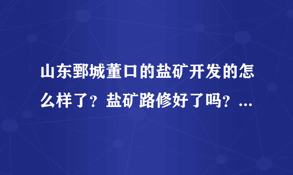 山东鄄城董口的盐矿开发的怎么样了？盐矿路修好了吗？有没有出盐哪？盐矿是怎么规划的啊？有谁了解吗？