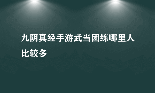 九阴真经手游武当团练哪里人比较多