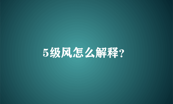 5级风怎么解释？