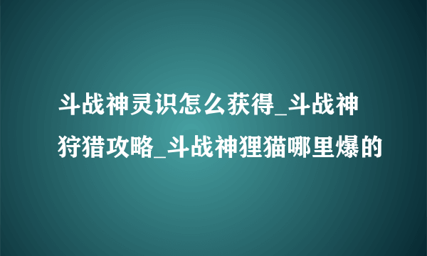 斗战神灵识怎么获得_斗战神狩猎攻略_斗战神狸猫哪里爆的