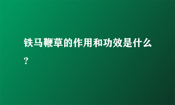 铁马鞭草的作用和功效是什么？