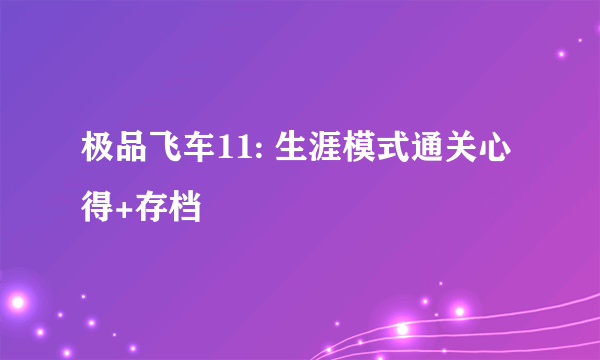 极品飞车11: 生涯模式通关心得+存档