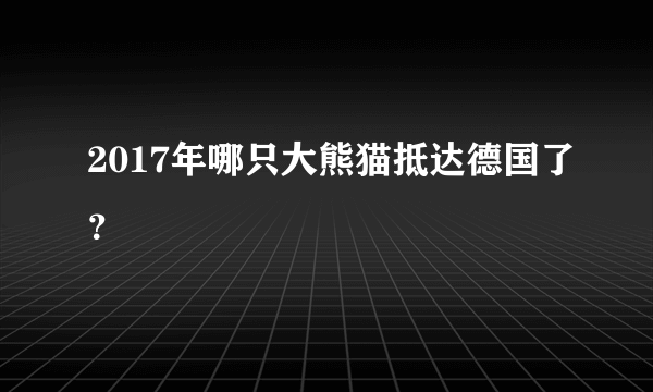 2017年哪只大熊猫抵达德国了？