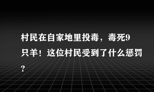 村民在自家地里投毒，毒死9只羊！这位村民受到了什么惩罚？