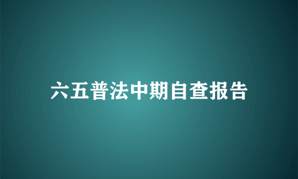 六五普法中期自查报告