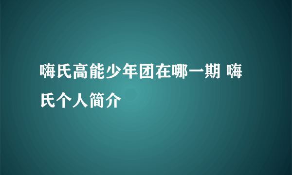 嗨氏高能少年团在哪一期 嗨氏个人简介