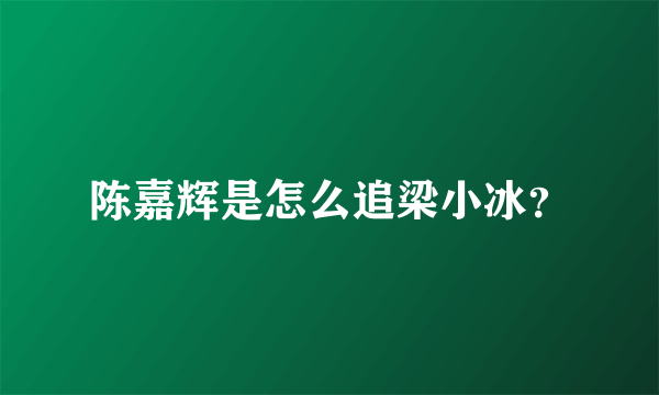 陈嘉辉是怎么追梁小冰？