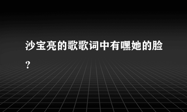 沙宝亮的歌歌词中有嘿她的脸？