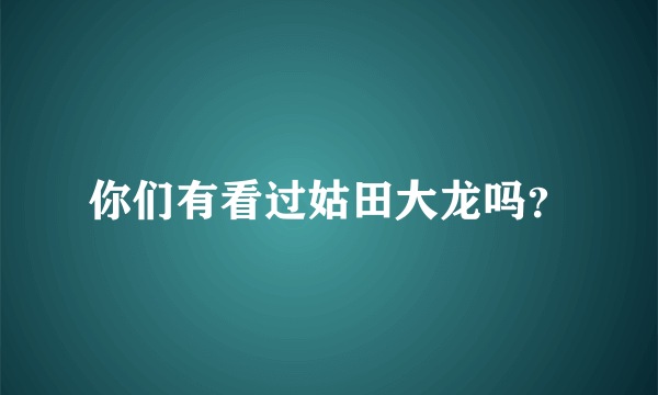 你们有看过姑田大龙吗？