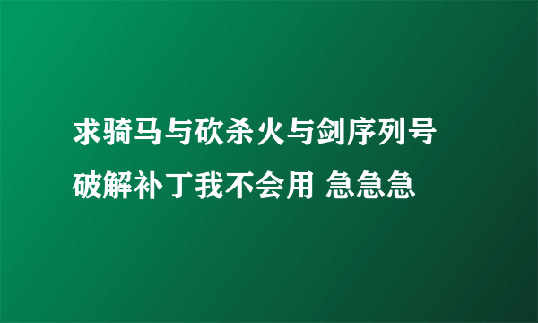 求骑马与砍杀火与剑序列号 破解补丁我不会用 急急急