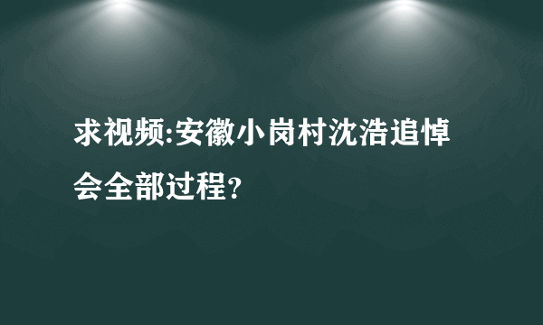 求视频:安徽小岗村沈浩追悼会全部过程？