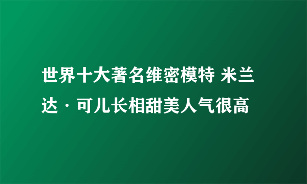 世界十大著名维密模特 米兰达·可儿长相甜美人气很高