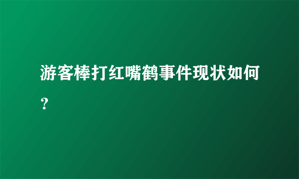 游客棒打红嘴鹤事件现状如何？