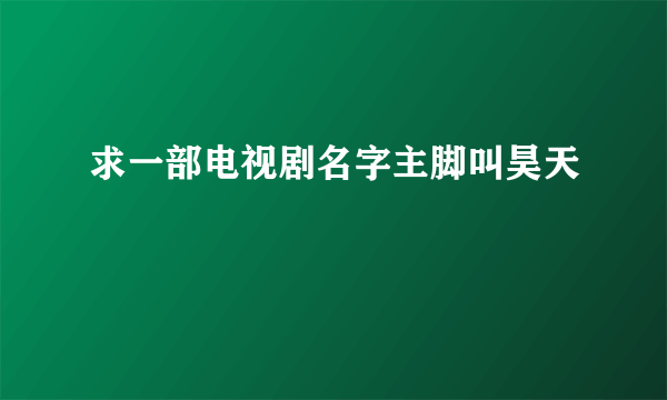 求一部电视剧名字主脚叫昊天