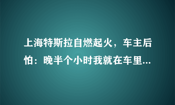 上海特斯拉自燃起火，车主后怕：晚半个小时我就在车里了, 你怎么看？