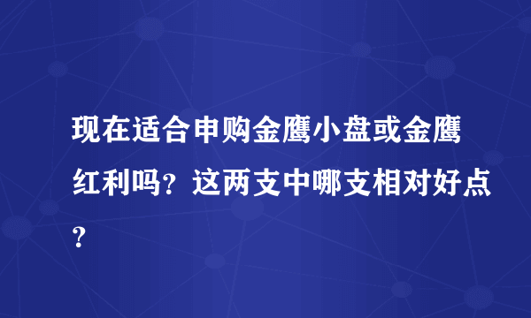 现在适合申购金鹰小盘或金鹰红利吗？这两支中哪支相对好点？