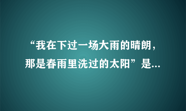 “我在下过一场大雨的晴朗，那是春雨里洗过的太阳”是哪首歌的歌词？