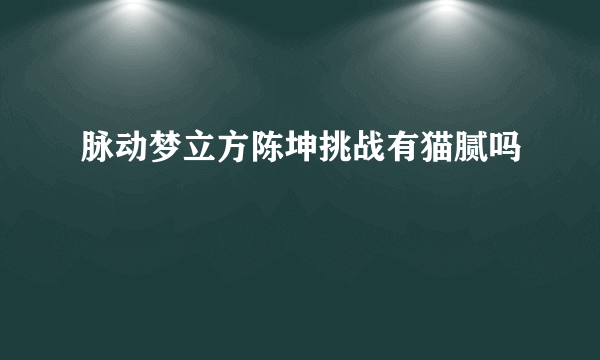 脉动梦立方陈坤挑战有猫腻吗