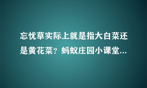 忘忧草实际上就是指大白菜还是黄花菜？蚂蚁庄园小课堂4月22日今天答案