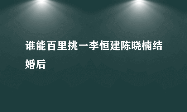 谁能百里挑一李恒建陈晓楠结婚后