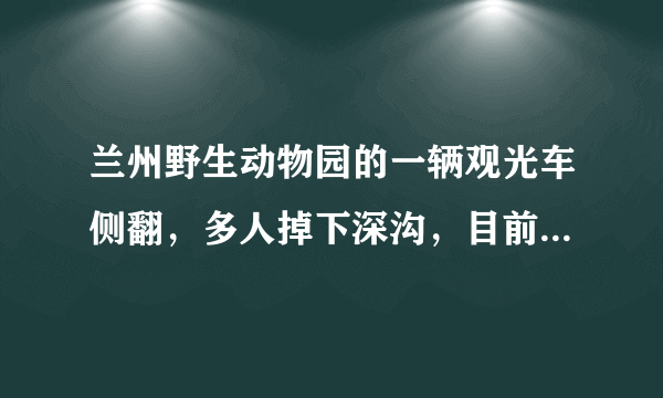 兰州野生动物园的一辆观光车侧翻，多人掉下深沟，目前救援情况如何？