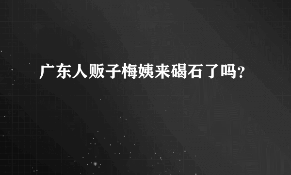 广东人贩子梅姨来碣石了吗？