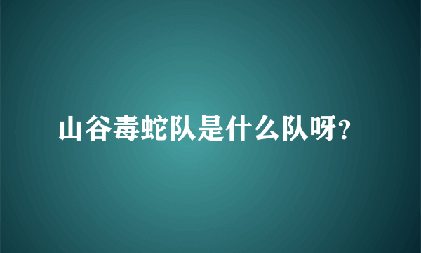 山谷毒蛇队是什么队呀？